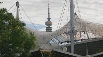 Zeltdach und Olympiaturm ragen hinter einem Baum im Olympiapark empor: Olympiadach, Zeltdach