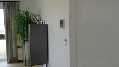 Moderne Wohnraumecke mit Sideboard und grüner Zimmerpflanze