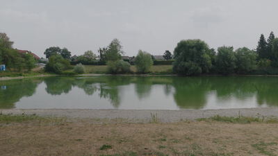 Dorfweiher spiegelt Bäume und Häuser am Ufer