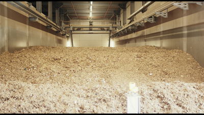 Großer Hackschnitzelhaufen im Brennstoffbunker eines Biomasseheizwerks, Hackschnitzellager, Brennstoffbunker Holz und