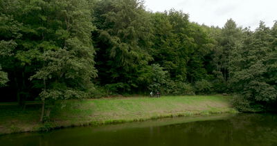 Luftaufnahme über Wald und Wiese mit kleinem Teich im Sommer