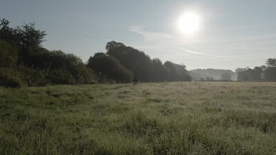 Person spaziert bei Sonnenaufgang über neblige Wiese Person spaziert bei Sonnenaufgang über neblige Wiese, neblige Wiese Sonnenaufgang, Person auf Wiese Morgennebel und