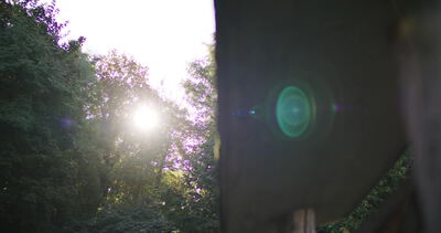 Sonnenlicht blitzt durch blühende Baumzweige im Garten