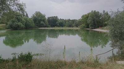 Grüner See liegt ruhig zwischen Bäumen unter bewölktem Himmel: Grüner See im Park, Ruhiges Wasser im Wald