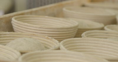 Reihen von Gärkörbchen mit Teig in einer Bäckerei