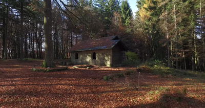 Alte Steinhütte im herbstlichen Buchenwald mit Laub am Boden