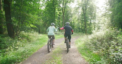Zwei Mountainbiker fahren auf einem breiten Waldweg durch den Sommerwald