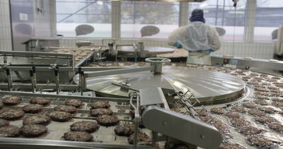 Gebratene Frikadellen laufen über das Gitterband der Fleischwarenfabrik