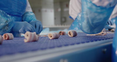 Speckröllchen laufen über ein blaues Förderband in der Produktion