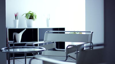 Helles modernes Interieur mit Stahlrohrmöbeln und Pflanze