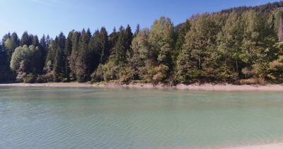 Mischwald am Ufer über ruhigem türkisgrünem Wasser, türkisgrünes Wasser, ruhiges Wasser und Uferwald als 4K Stockvideo