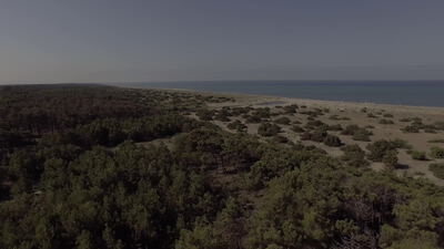Luftaufnahme von Küstenwald und langem Sandstrand am Mittelmeer