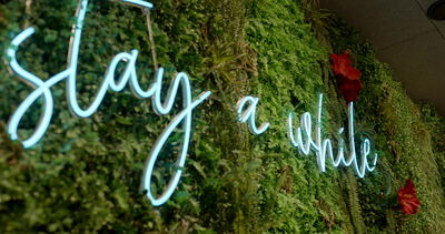 Leuchtschrift Stay a while an einer Mooswand mit roter Rose