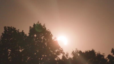 Abendsonne leuchtet warm über dunklen Baumkronen: Abendsonne, Sonne über Baumkronen