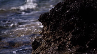 Wellen umspülen einen dunklen Felsen am Meer
