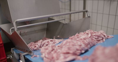 Hackfleisch fällt aus dem Fleischwolf auf das Förderband