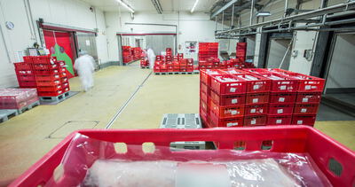 Kisten mit verpacktem Fleisch warten im Kühllager auf den Versand: kisten mit verpacktem fleisch, verpackte fleischware