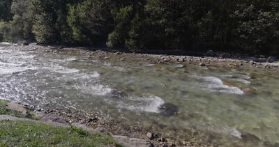 Klarer Fluss fließt über Steine an einem Kiesufer vor Nadelwald, klares Wasser, Stromschnellen und Strömung als 4K Stockvideo
