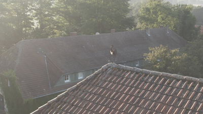 Ziegeldächer eines Gutshofs aus der Vogelperspektive Ziegeldächer eines Gutshofs aus der Vogelperspektive, Ziegeldächer Gutshof, Dachlandschaft Luftaufnahme und Gutshof von oben