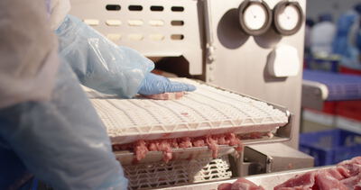 Arbeiter führt Fleisch in eine Schneidemaschine mit weißem Förderband