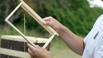 Imker hält leeren Holzrahmen vor dem Bienenstock, Imker hält Rahmen, Imker lizenzfrei und Imker mit Holzrahmen als 4K