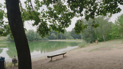 Holzbank steht am sandigen Ufer eines Sees unter grünen Bäumen: Holzbank am See, Badesee