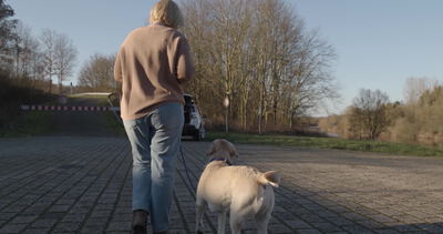 Frau geht mit Labrador Hund an der Leine am Flussufer spazieren Frau geht mit Labrador Hund an der Leine am Flussufer spazieren, Frau geht mit Hund spazieren, Labrador beim Spaziergang und