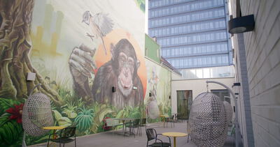 Großes Schimpansen Wandbild ziert einen Innenhof mit moderner Fassade