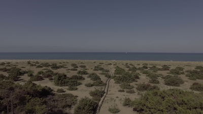 Luftaufnahme der Küstenheide mit Dünen am ruhigen blauen Meer