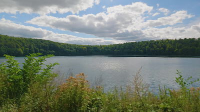 Sonnenlicht glitzert auf einem See hinter blühenden Uferpflanzen, glitzernder See, Sonnenlicht auf Wasser und Lichtreflexe