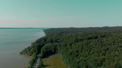 Drohnenflug über einen See und das bewaldete Ufer im Sommer
