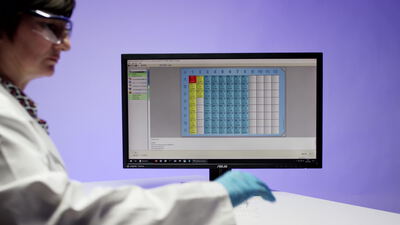 Wissenschaftler wertet Mikrotiterplatte am Labormonitor aus