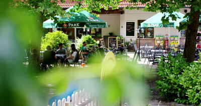 Biergarten unter schattigen Bäumen mit grünen Sonnenschirmen und Gästen