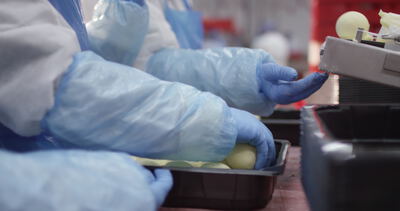Menüschalen werden von Hand mit Portionen befüllt