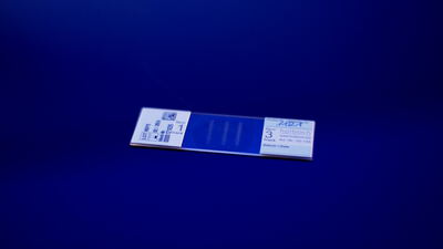 Beschrifteter Objektträger für das Mikroskop auf blauem Grund