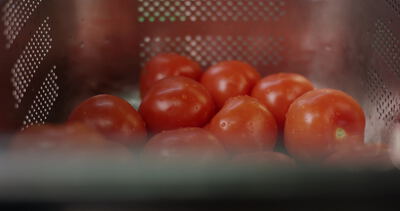 Frische rote Tomaten liegen in einem perforierten Metallkorb