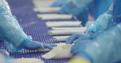 Behandschuhte Hände rollen gefüllte Wraps am blauen Produktionsband