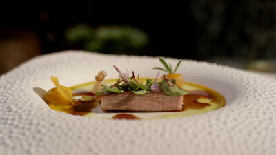 Rosa Fleischscheibe mit Kräutern und Sauce auf weißem Teller, Fleischscheibe auf Teller, rosa gegartes Fleisch und