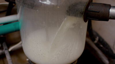 Milch fließt und schäumt in einem Glasbehälter einer Melkanlage