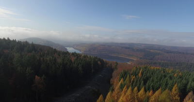 Drohnenflug über herbstliche Mischwälder mit Talsperre im Nebel