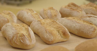 Längliche Baguette Brötchen liegen in Reihen in der Bäckerei