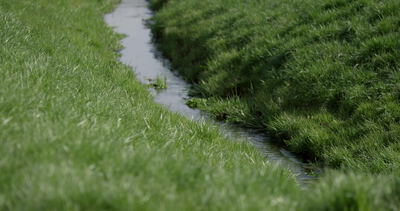 Wassergraben schlängelt sich durch grüne Wiese in Nahaufnahme
