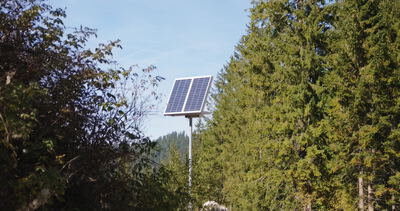 Solarmodul auf Mast zwischen Nadelbäumen am Waldrand, Solarpanel, Photovoltaik und Solaranlage als 4K Stockvideo