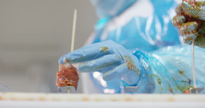 Fleischspieße werden in einer Lebensmittelproduktion von Hand gesteckt