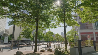 Sonniger Boulevard mit Baeumen und moderner Architektur in der Stadt