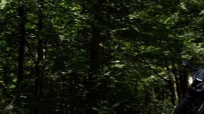 Motorrad fährt auf einer Landstraße durch den Wald Motorrad fährt auf einer Landstraße durch den Wald, Sportmotorrad, Waldstraße und Motorradfahrer als 4K Stockvideo
