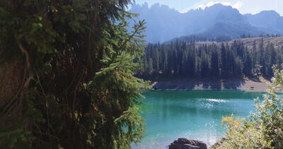 Fichtenzweige geben den Blick auf einen türkisen Bergsee frei Fichtenzweige geben den Blick auf einen türkisen Bergsee frei, türkiser Bergsee, Enthüllung und Seitwärtsfahrt als 4K