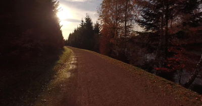 Vorwärtsflug über geschotterten Waldweg in warmer Herbstsonne