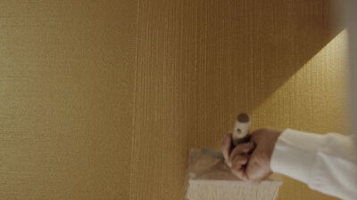 Hand hält eine breite Bürste vor einer goldenen Wand im warmen Licht