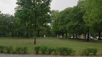Grüner Stadtpark zeigt hohe Bäume und eine gepflegte Rasenfläche